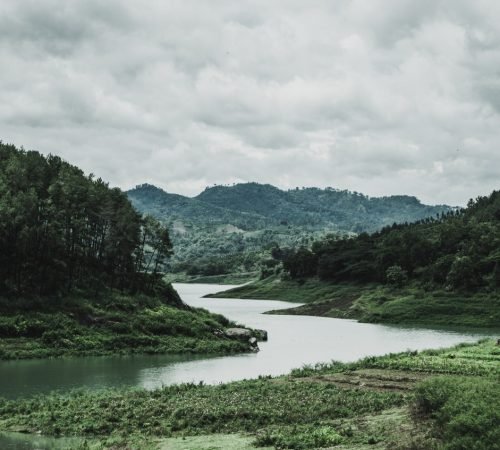 green-grass-field-and-mountain-1034887.jpg